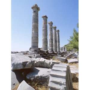  Ruins of the Temple of Athena, Archaeological Site, Priene 