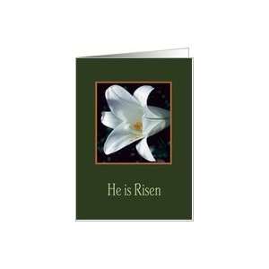 Easter Lily Card