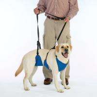 Dog Hoist Lift Lead Harness Hip Dysplasia Aide  