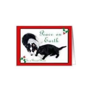 Australian Shepherd and Cat Peace on Earth, Boss Card