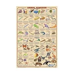 Animal Kingdom 2 Poster  Industrial & Scientific
