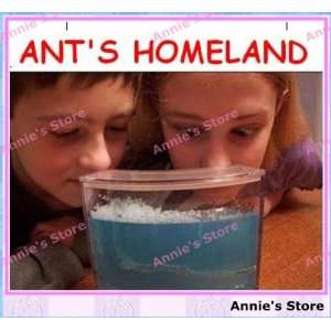  novel ecological toys ants home antworks ant farm science 