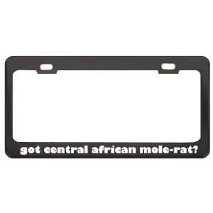 Got Central African Mole Rat? Animals Pets Black Metal License Plate 