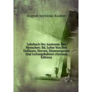   Und Leitungsbahnen (German Edition) August Antinous Rauber Books