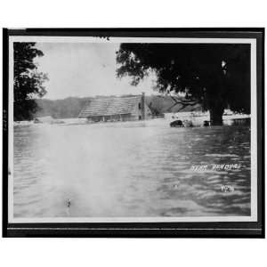  Near Hamburg, Louisiana, LA, 1927 Flood