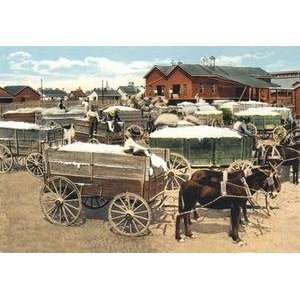  Paper poster printed on 12 x 18 stock. Cotton Wagons 