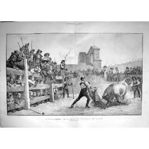    1896 Bull Fight Country Village Spain Matador Arajo