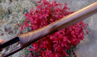 Ruger 10/22 Talo Exclusive , Altamonte Classic V Stock  