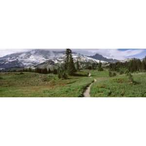 Path, Mazama Ridge, Mt. Rainier National Park, Mt. Rainier, Washington 