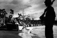 WWII Water Buffalo Amphibious Tanks 1944 Cape Sansapor  