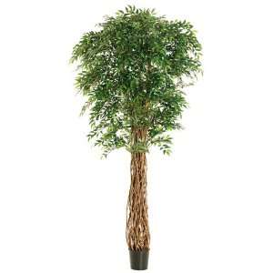  8? Multi Trunk Smilax Tree w/5460 Lvs. in Pot Green (Pack 