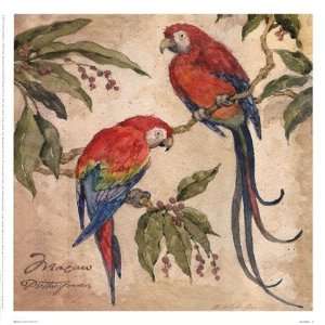 Macaw by Betty Whiteaker 13x13 