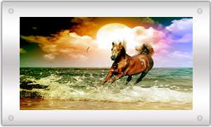 Moving Waterfall /Ocean Picture With light and sound Brown Horse 39 