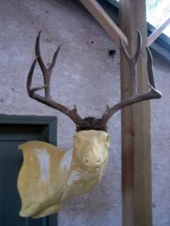 4x4 MULE DEER RACK antlers whitetail moose elk taxidermy mount sheds 