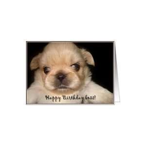  Happy Birthday Boss Pekingese puppy Card Health 