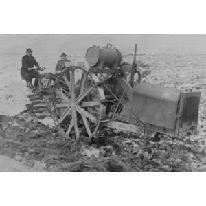   Huge Tractor digs for unearths potatoes.   20x30