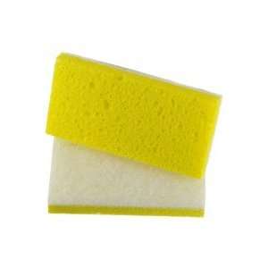  SPAnge Cleaning Pad/Sponge Patio, Lawn & Garden