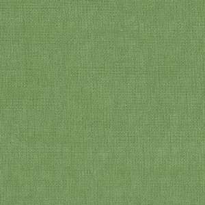  54 Wide Double sided Velveteen Celedon Green Fabric By 