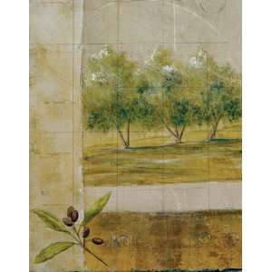  Olive Groves I   Giclee On Canvas by Cheryl Martin. size 