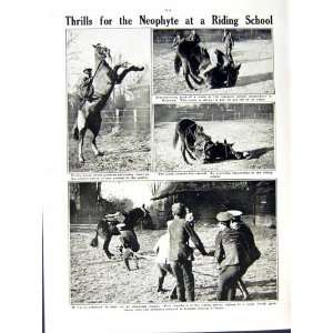    1916 WORLD WAR MARQUIS BATH LONGLEAT HORSE NEOPHYTE