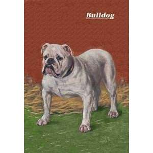  Vintage Art White Bulldog   04377 6