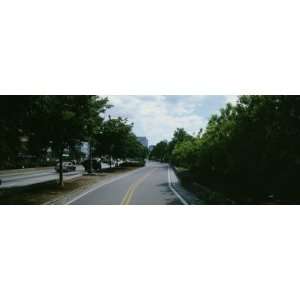  Trees on Both Sides of a Road, Hudson River Park, New York 