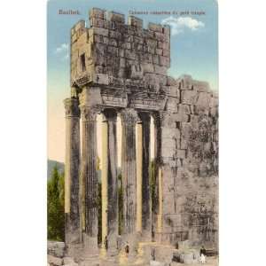 1920s Vintage Postcard Columns of the Small Temple   Baalbek Lebanon