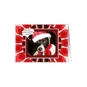  Christmas Dog Rat Terrier Humor Card Health & Personal 