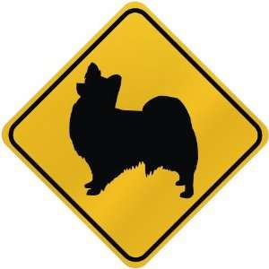  ONLY  PAPILLON  CROSSING SIGN DOG