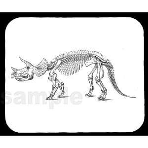  Triceratops Skeleton Mouse Pad 