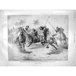   Egyptian Cavalry Polo Horses Portrait Steyn Orange