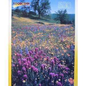   Kodacolor 500 Piece Puzzle ~ Temblor Range, California Toys & Games