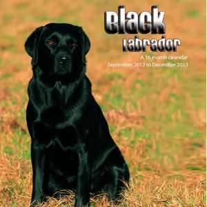  Black Labradors 2013 Wall Calendar