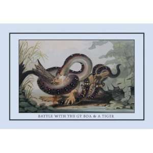  Battle Between the Great Boa and a Tiger 24x36 Giclee 