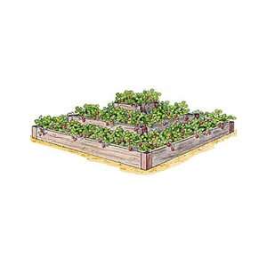  3 Tier Strawberry Bed Patio, Lawn & Garden
