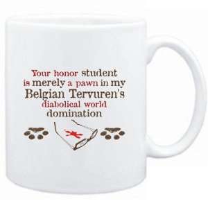   Belgian Tervurens diabolical world domination  Dogs 