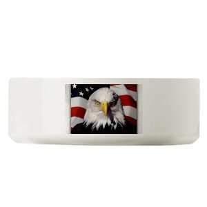  Large Dog Cat Food Water Bowl Eagle on American Flag 
