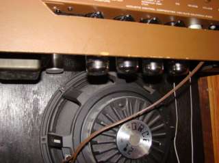 Acoustic Control Corporation G100T 112W Walnut Oak CAB 100 WATT ALL 