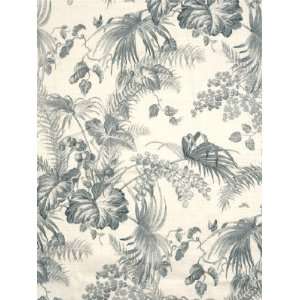   Tropical Toile   Gustavian Blue and Ivory Fabric