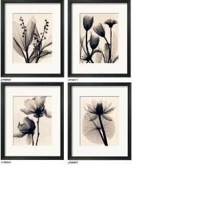  X Ray Floral Montage   Set of 4