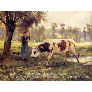 Cows at Pasture