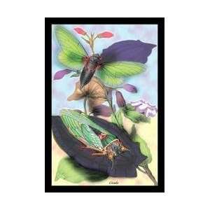  Cicada 24x36 Giclee