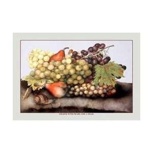  Grapes and Pears with a Snail 20x30 poster