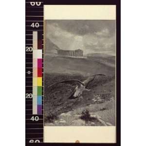  The temple of Diana at Segesta