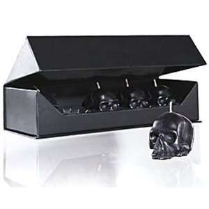  D. L. & Co. Momento Mori Skull Candle Boxed Set of 5