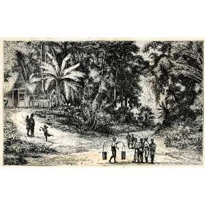  1879 Wood Engraving Moluccas Maluku Island Spice Indonesia 