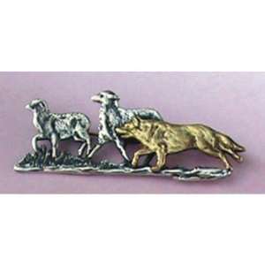  Australian Cattle Dog Breed Origin Pin