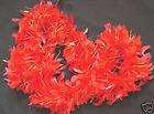 RED & GOLD SPARKLE Feather Boa Fabulous COSTUME