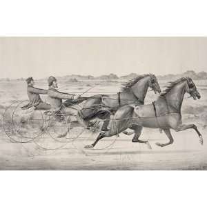   The Celebrated Trotting Stallions Team Vintage Image