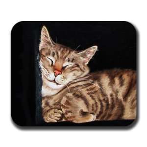  Tabby Cat Nap in Box Art Mouse Pad 